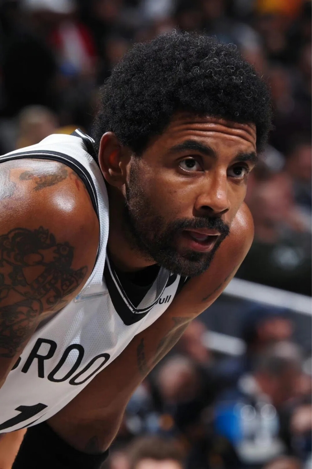 供了可复用 供了可复用